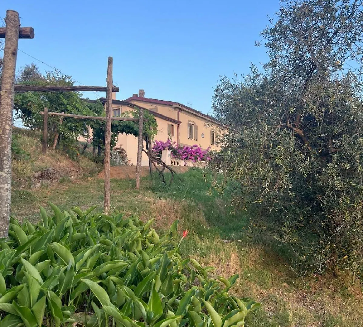 Forma Alta 59 Vineyard Reserve Avenza